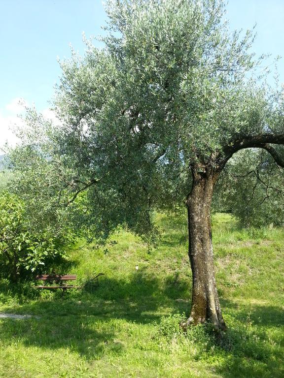 Ca' Dei Gatti Βίλα Toscolano Maderno Εξωτερικό φωτογραφία
